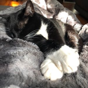 Meet your Posher, Joanie